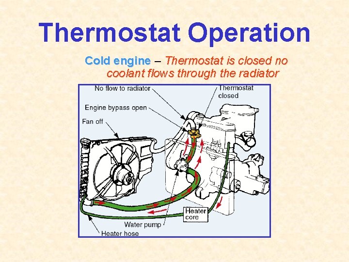 Thermostat Operation Cold engine – Thermostat is closed no coolant flows through the radiator