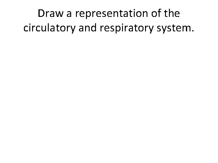 Draw a representation of the circulatory and respiratory system. 