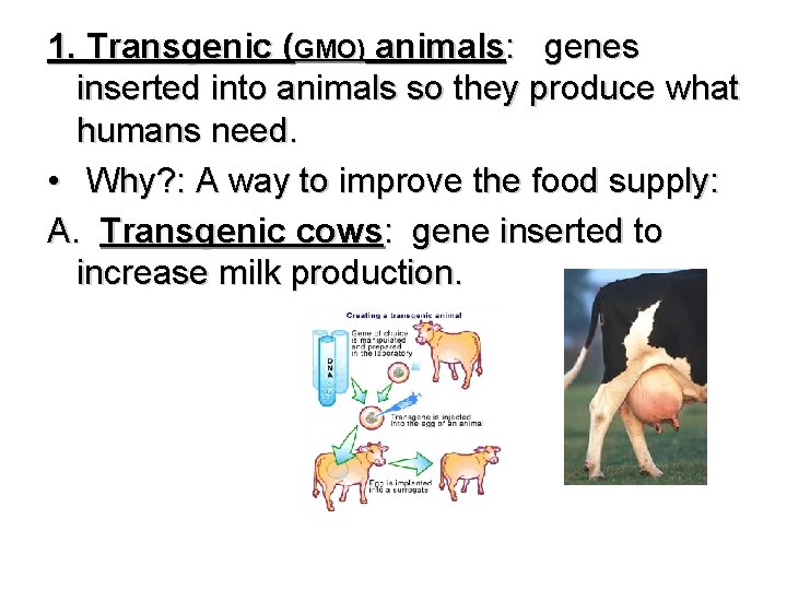 1. Transgenic (GMO) animals: genes inserted into animals so they produce what humans need.