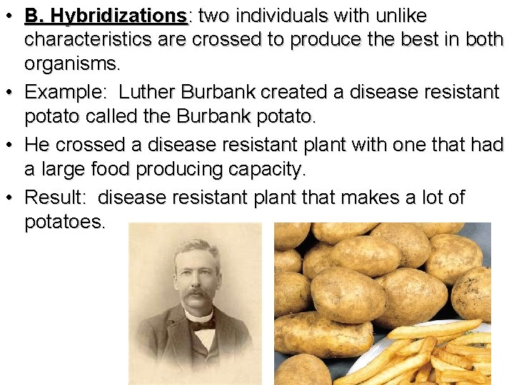  • B. Hybridizations: two individuals with unlike characteristics are crossed to produce the