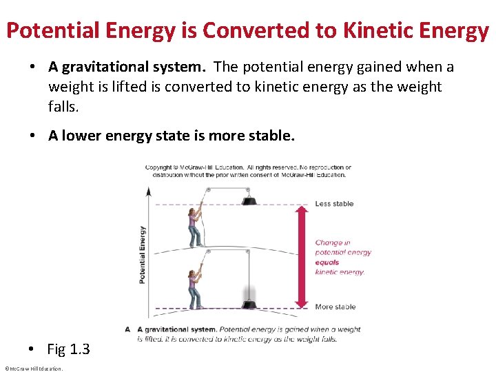 Potential Energy is Converted to Kinetic Energy • A gravitational system. The potential energy