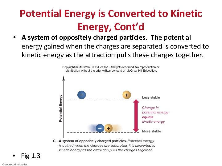 Potential Energy is Converted to Kinetic Energy, Cont’d • A system of oppositely charged