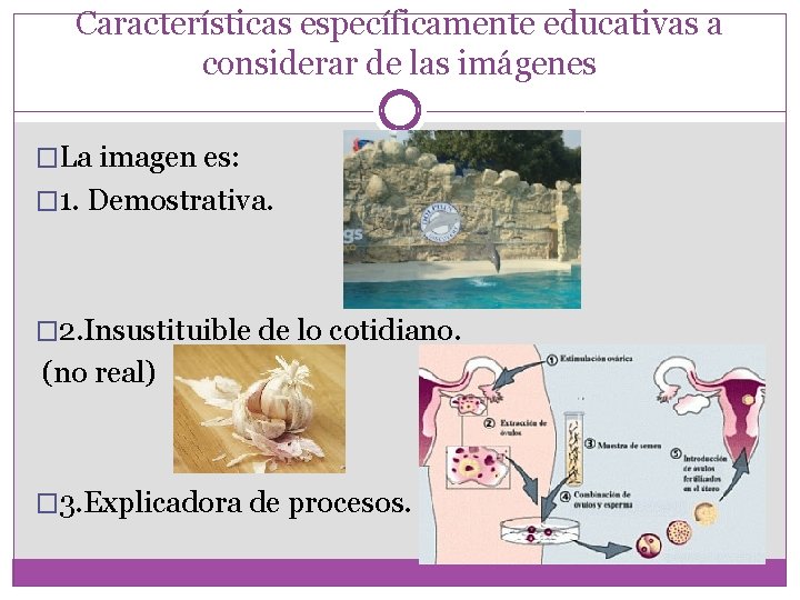 Características específicamente educativas a considerar de las imágenes �La imagen es: � 1. Demostrativa.