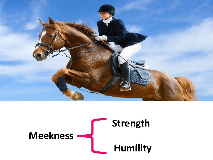 Meekness Strength Humility 