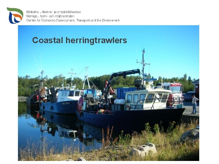Coastal herringtrawlers 