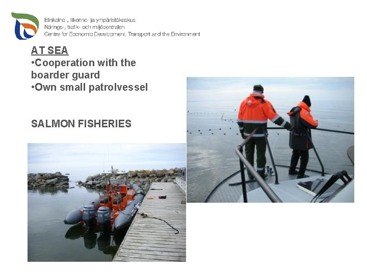 AT SEA • Cooperation with the boarder guard • Own small patrolvessel SALMON FISHERIES