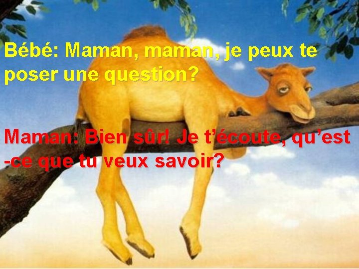 Bébé: Maman, maman, je peux te poser une question? Maman: Bien sûr! Je t’écoute,