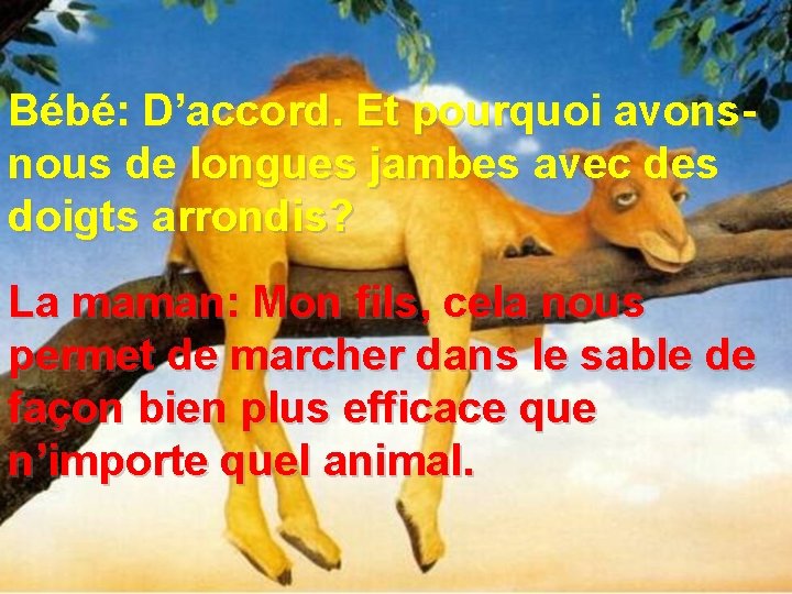 Bébé: D’accord. Et pourquoi avonsnous de longues jambes avec des doigts arrondis? La maman: