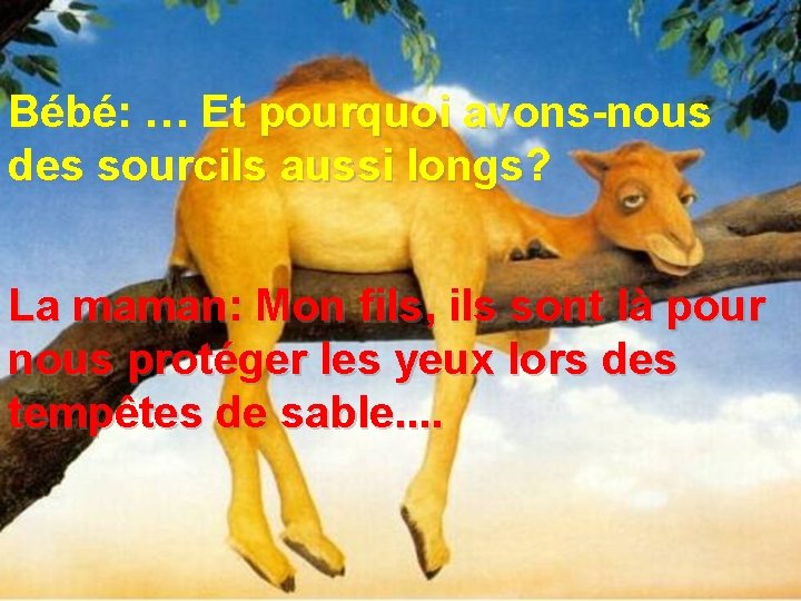 Bébé: … Et pourquoi avons-nous des sourcils aussi longs? La maman: Mon fils, ils