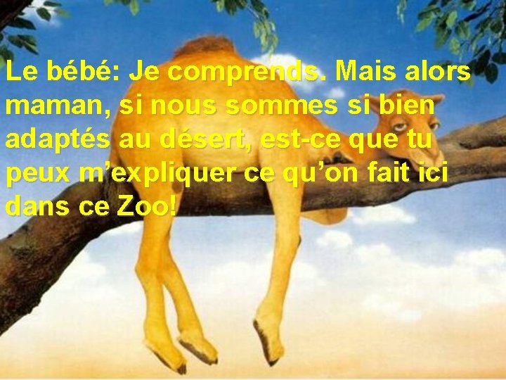 Le bébé: Je comprends. Mais alors maman, si nous sommes si bien adaptés au