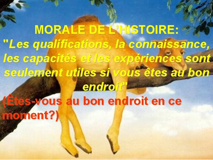 MORALE DE L’HISTOIRE: "Les qualifications, la connaissance, les capacités et les expériences sont seulement