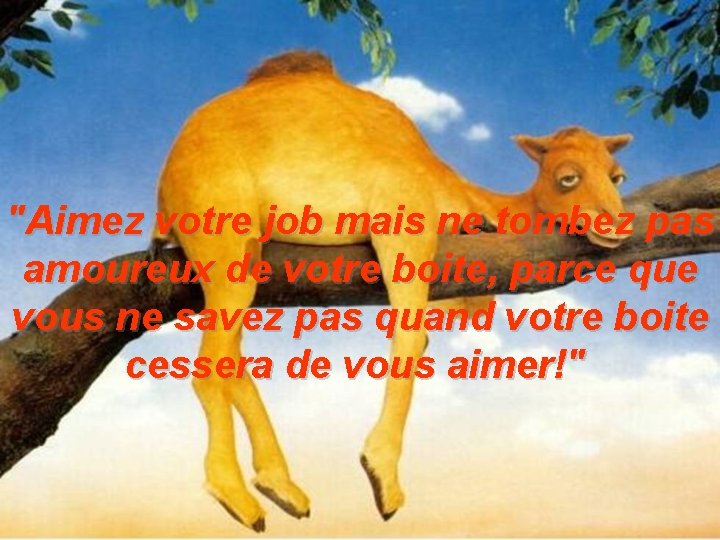"Aimez votre job mais ne tombez pas amoureux de votre boite, parce que vous