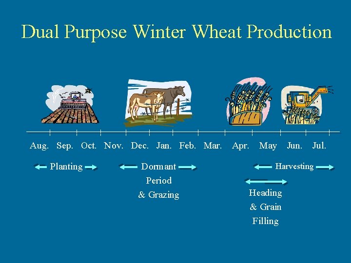 Dual Purpose Winter Wheat Production | | | | Aug. Sep. Oct. Nov. Dec.