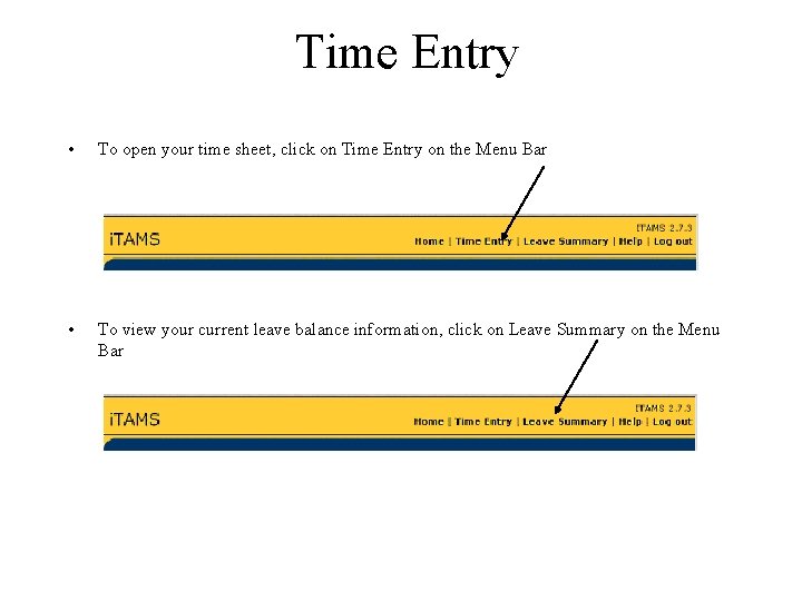 Time Entry • To open your time sheet, click on Time Entry on the