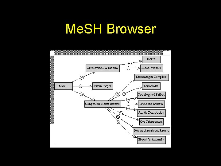 Me. SH Browser 