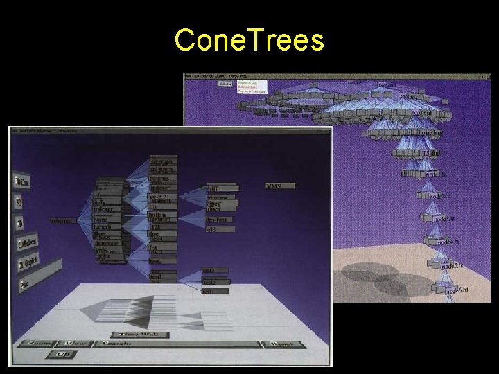 Cone. Trees 