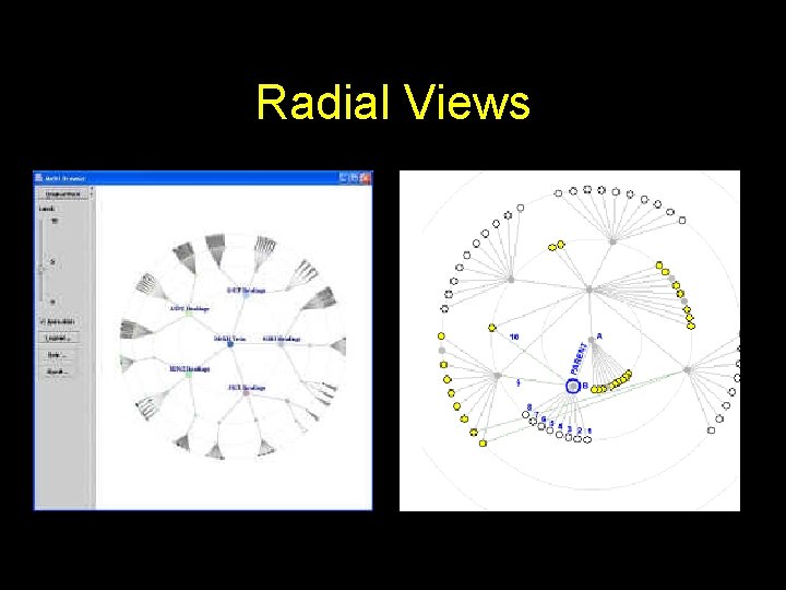 Radial Views 