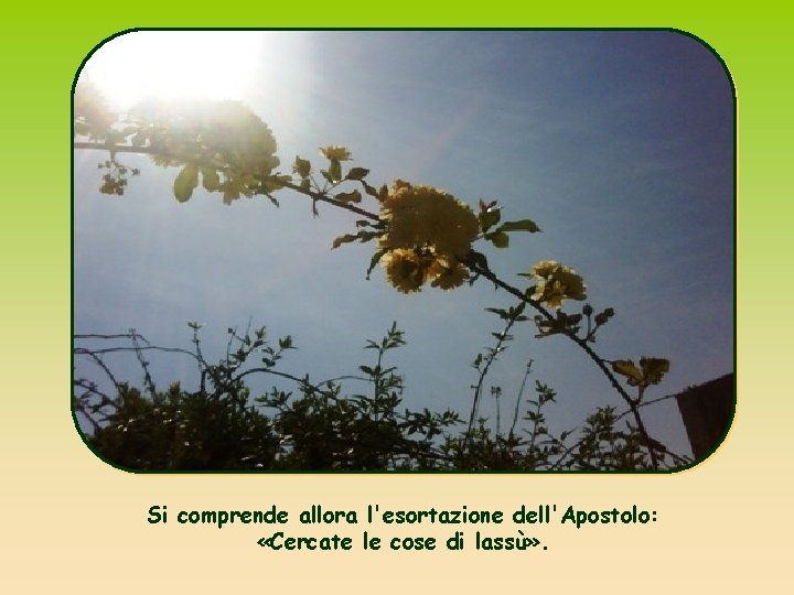 Si comprende allora l'esortazione dell'Apostolo: «Cercate le cose di lassù» . 