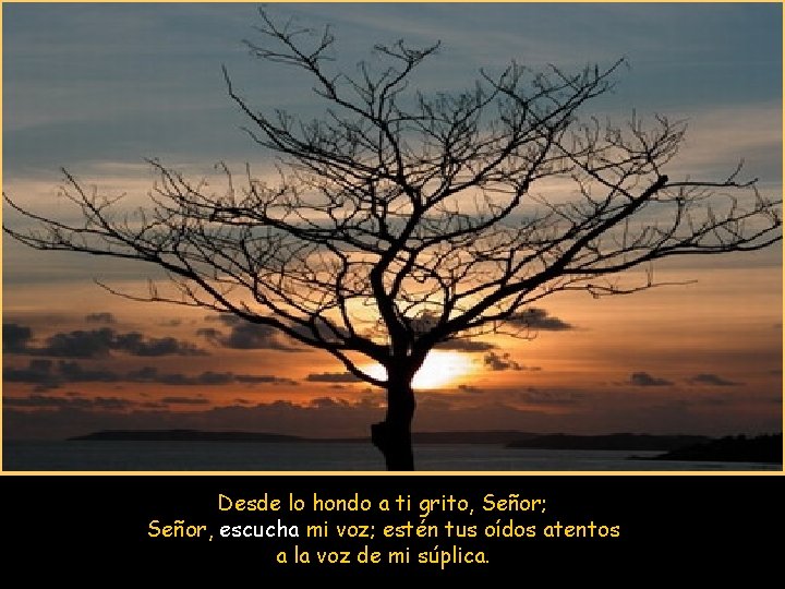 Desde lo hondo a ti grito, Señor; Señor, escucha mi voz; estén tus oídos