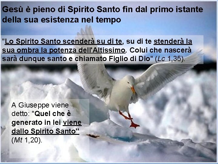 Gesù è pieno di Spirito Santo fin dal primo istante della sua esistenza nel