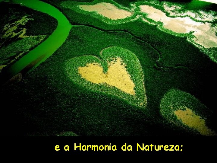 e a Harmonia da Natureza; 