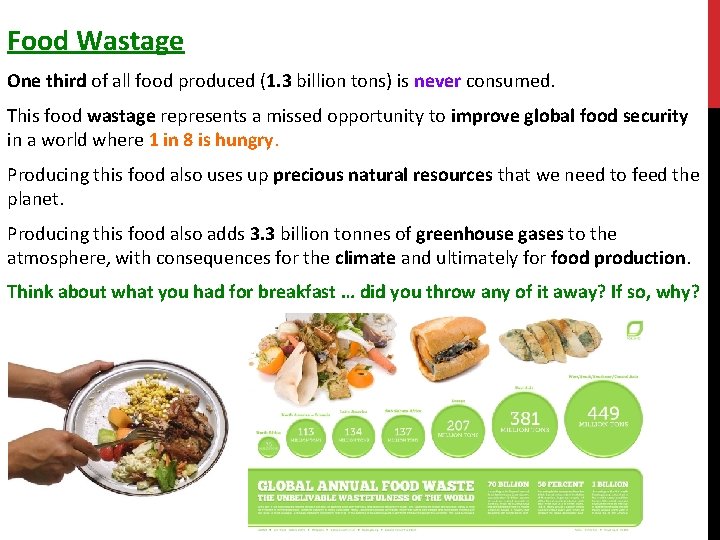 Food Wastage One third of all food produced (1. 3 billion tons) is never