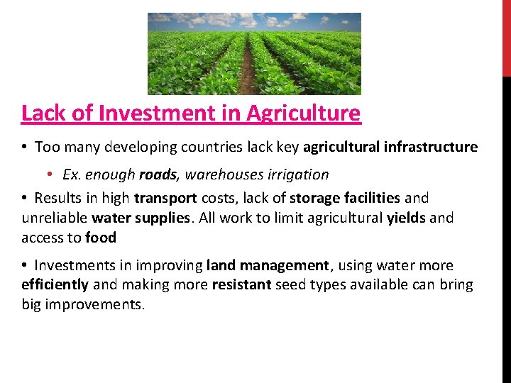 Lack of Investment in Agriculture • Too many developing countries lack key agricultural infrastructure