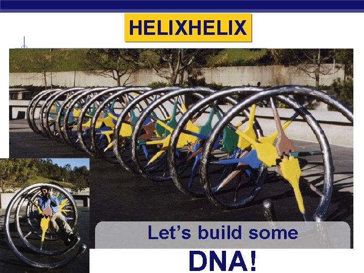 HELIX Let’s build some DNA! 