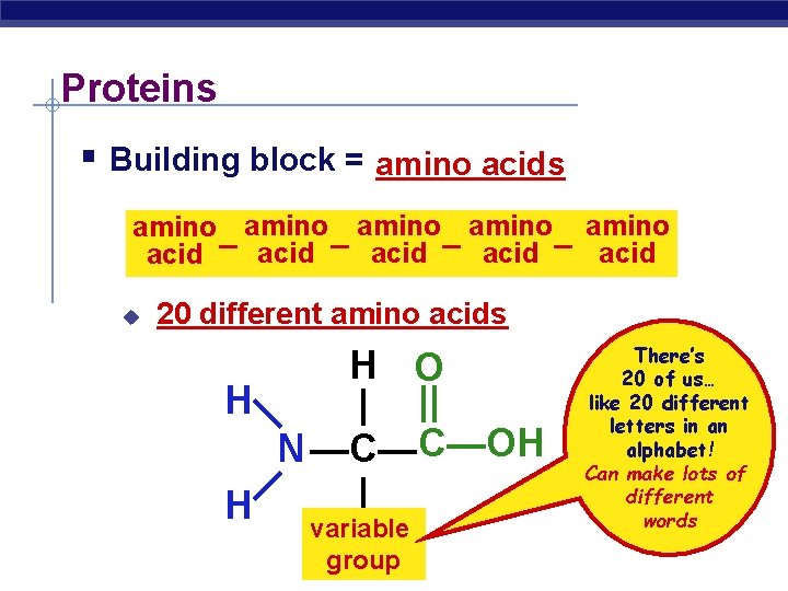 Proteins § Building block = amino acids amino amino acid – acid u 20