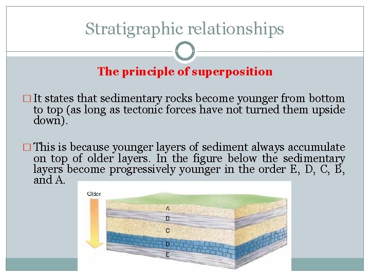Stratigraphic relationships The principle of superposition � It states that sedimentary rocks become younger