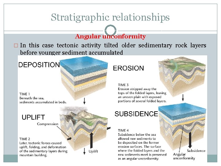 Stratigraphic relationships Angular unconformity � In this case tectonic activity tilted older sedimentary rock