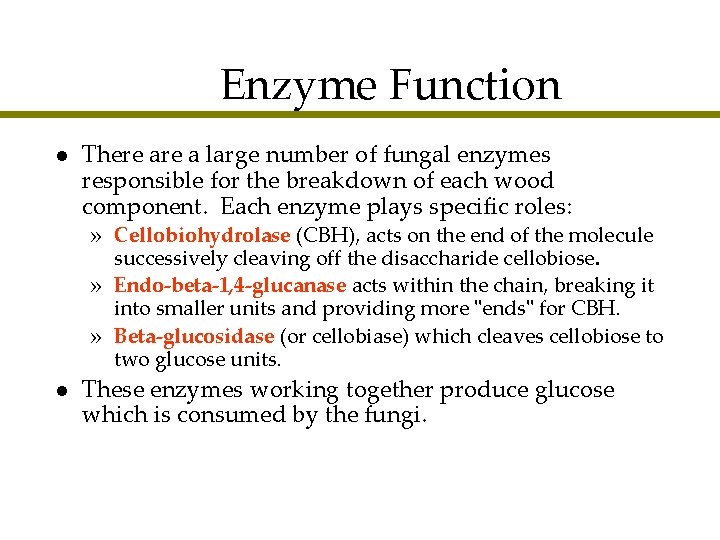 Enzyme Function l There a large number of fungal enzymes responsible for the breakdown