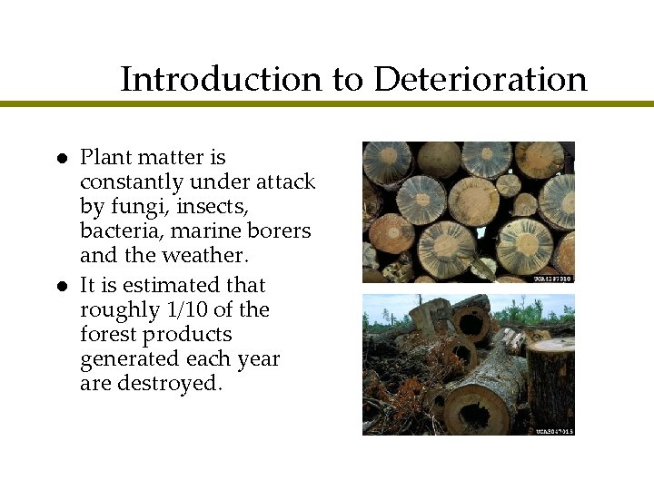 Introduction to Deterioration l l Plant matter is constantly under attack by fungi, insects,