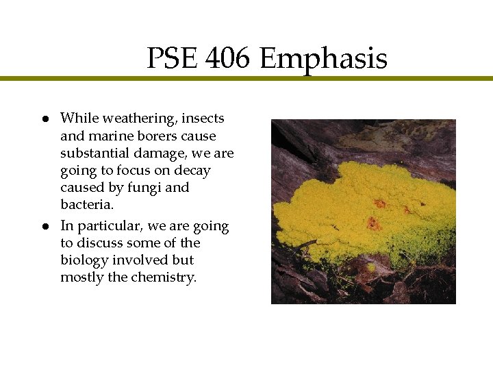 PSE 406 Emphasis l l While weathering, insects and marine borers cause substantial damage,
