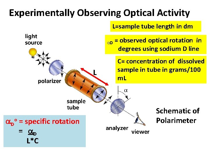 Experimentally Observing Optical Activity L=sample tube length in dm D L Do = specific