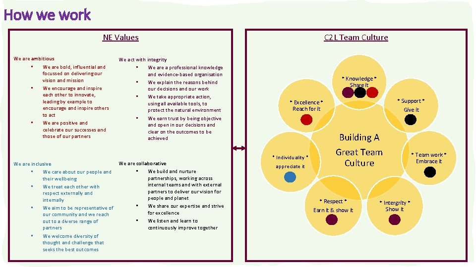How we work NE Values We are ambitious • We are bold, influential and
