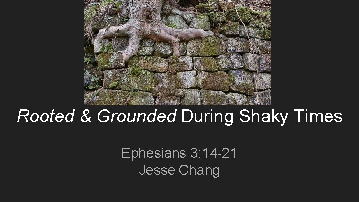 Rooted & Grounded During Shaky Times Ephesians 3: 14 -21 Jesse Chang 