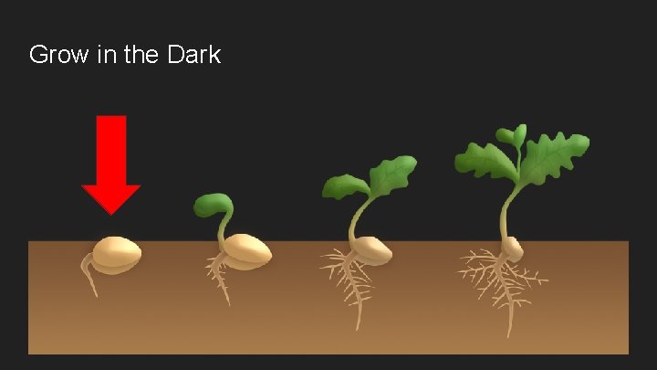 Grow in the Dark 