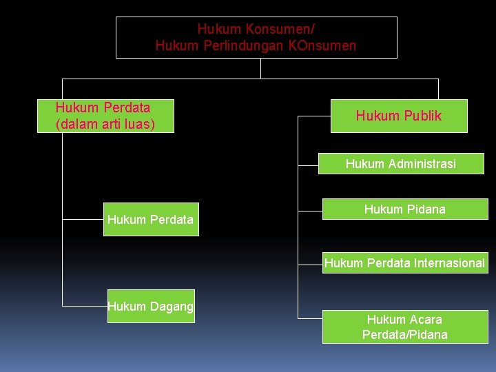 Hukum Konsumen/ Hukum Perlindungan KOnsumen Hukum Perdata (dalam arti luas) Hukum Publik Hukum Administrasi