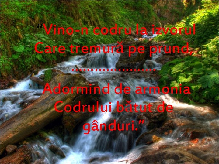 “Vino-n codru la izvorul Care tremură pe prund, …………………. Adormind de armonia Codrului bătut