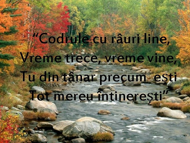 “Codrule cu râuri line, Vreme trece, vreme vine, Tu din tânar precum ești Tot