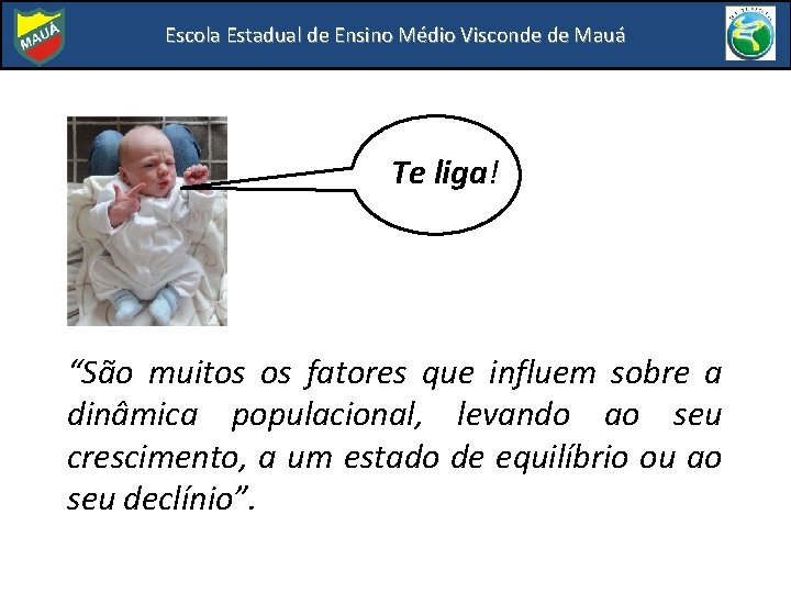 Escola Estadual de Ensino Médio Visconde de Mauá Te liga! “São muitos os fatores