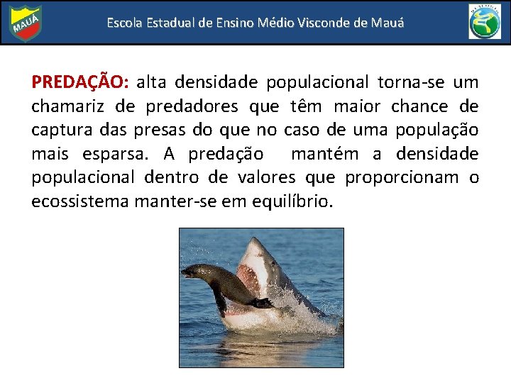 Escola Estadual de Ensino Médio Visconde de Mauá PREDAÇÃO: alta densidade populacional torna-se um