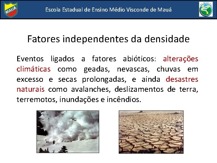 Escola Estadual de Ensino Médio Visconde de Mauá Fatores independentes da densidade Eventos ligados