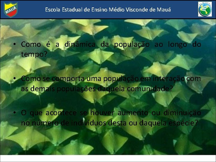 Escola Estadual de Ensino Médio Visconde de Mauá • Como é a dinâmica da