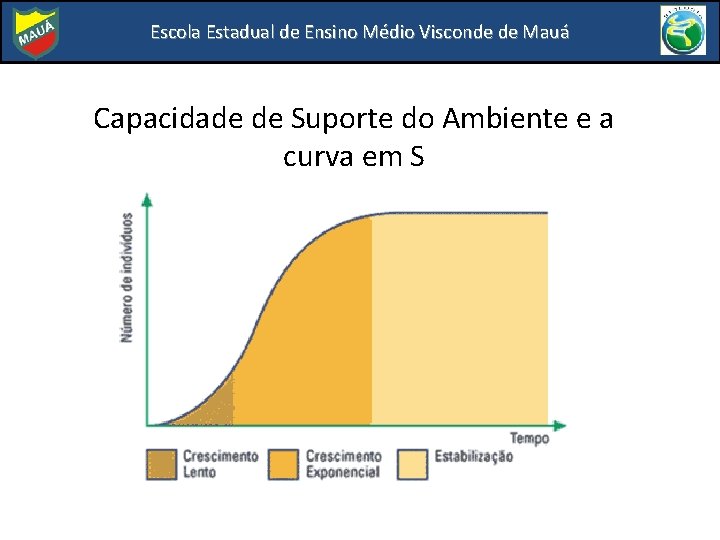 Escola Estadual de Ensino Médio Visconde de Mauá Capacidade de Suporte do Ambiente e