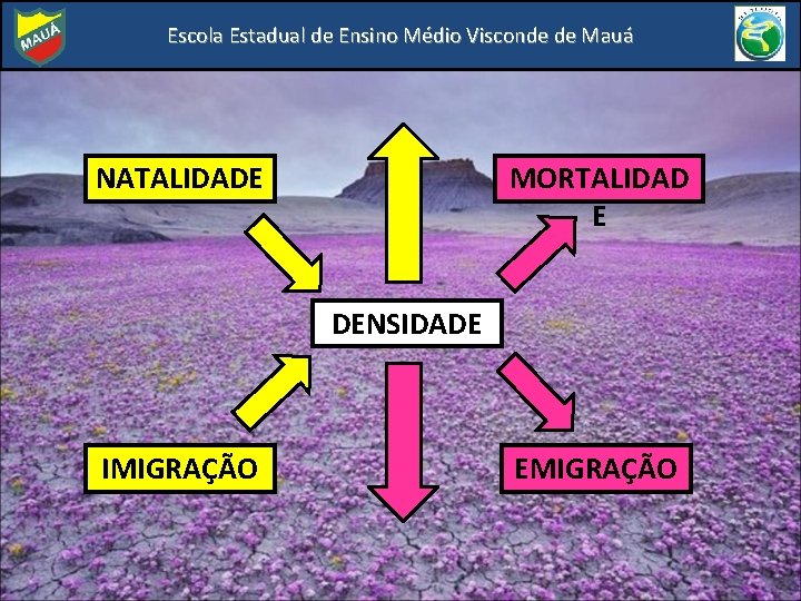 Escola Estadual de Ensino Médio Visconde de Mauá NATALIDADE MORTALIDAD E DENSIDADE IMIGRAÇÃO EMIGRAÇÃO