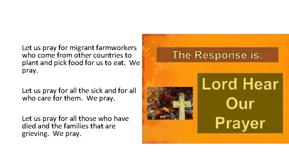 Let us pray for migrant farmworkers who come from other countries to plant and