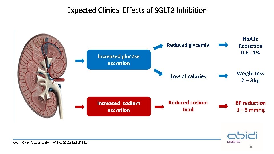 Expected Clinical Effects of SGLT 2 Inhibition Reduced glycemia Hb. A 1 c Reduction