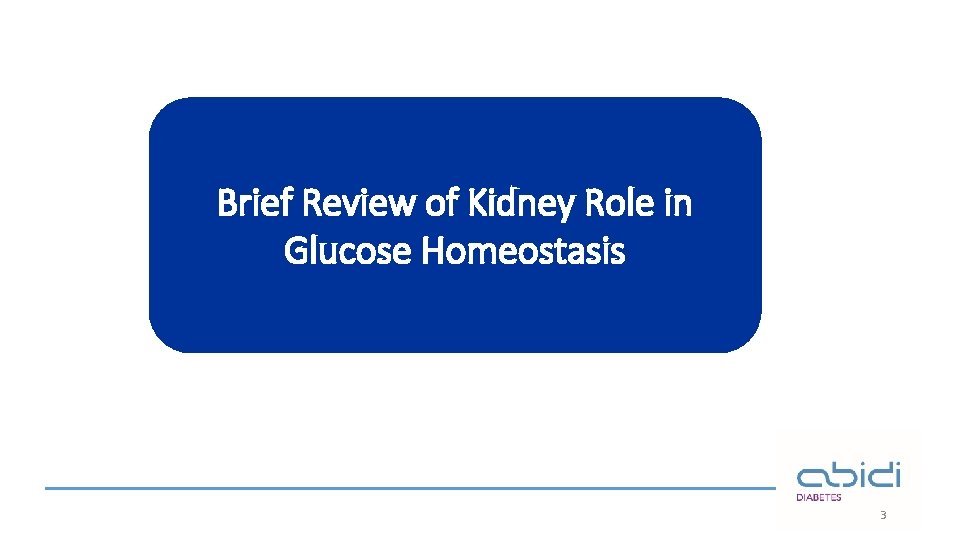 Brief Review of Kidney Role in Glucose Homeostasis 3 